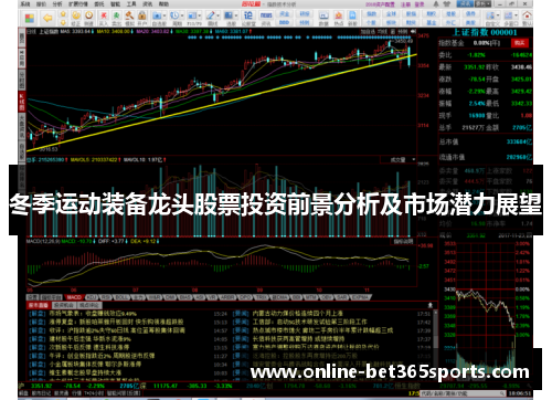 冬季运动装备龙头股票投资前景分析及市场潜力展望